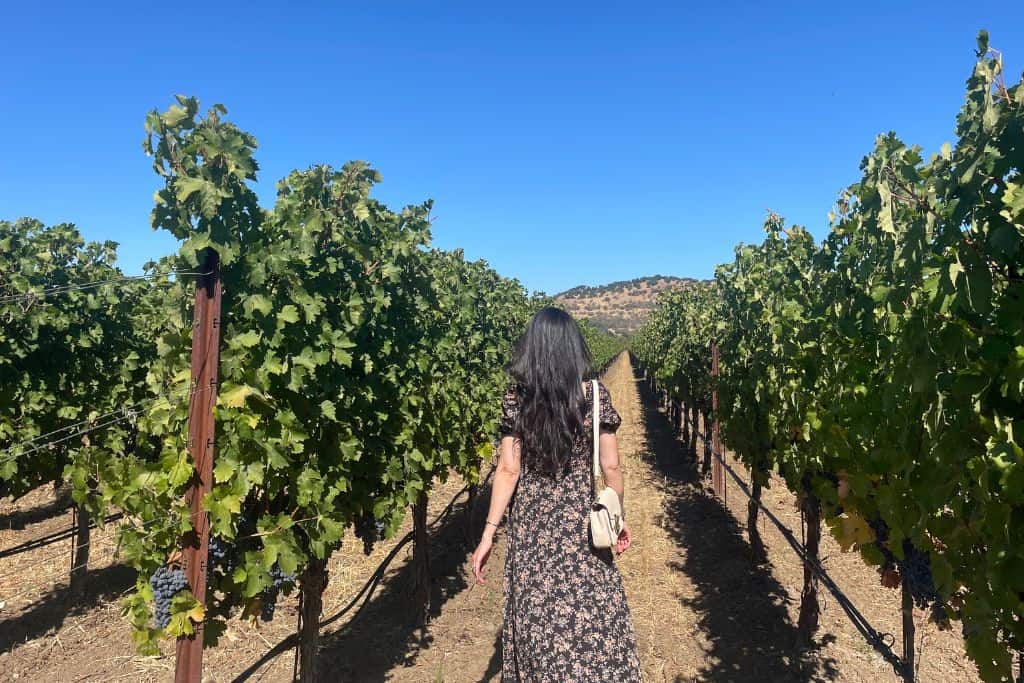 A woman with long dark hair walking face away in lush green vineyards