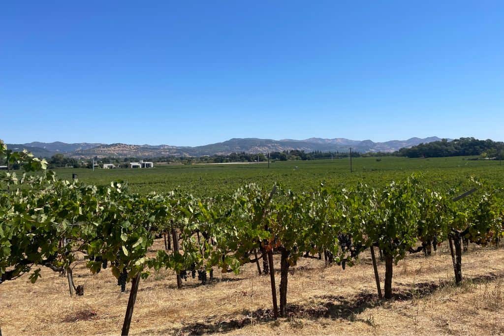 The stunning view of vineyards, mountains, and bright blue sky at Tres Sabores Winery