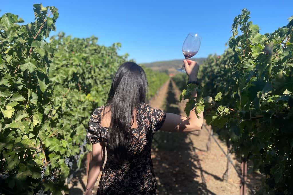 A woman in a black dress raising a glass amongst lush green vineyards