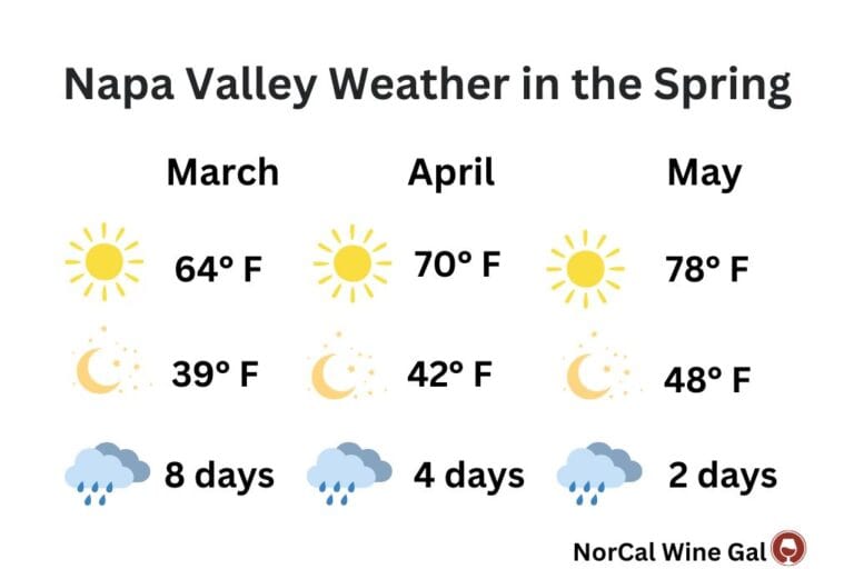 Napa Valley in Spring: 14 Best Things to Do + What to Pack