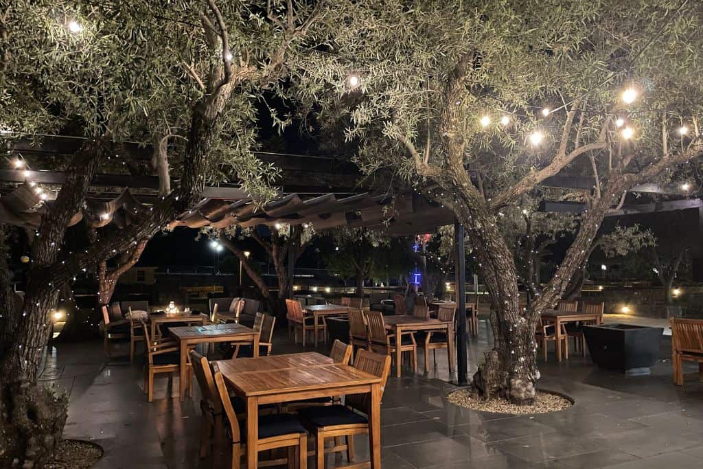 A romantic outdoor patio that is lighted by twinkly lights in olive trees.