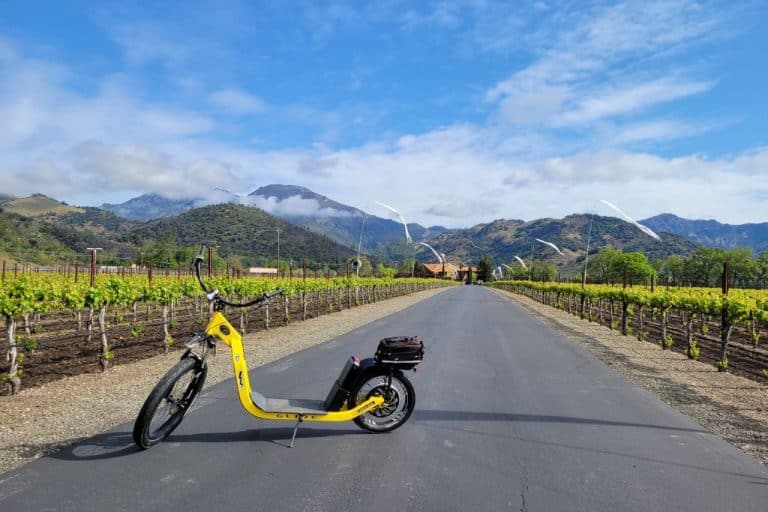 Napa Valley Electric Bike Tours: Which Is Best?