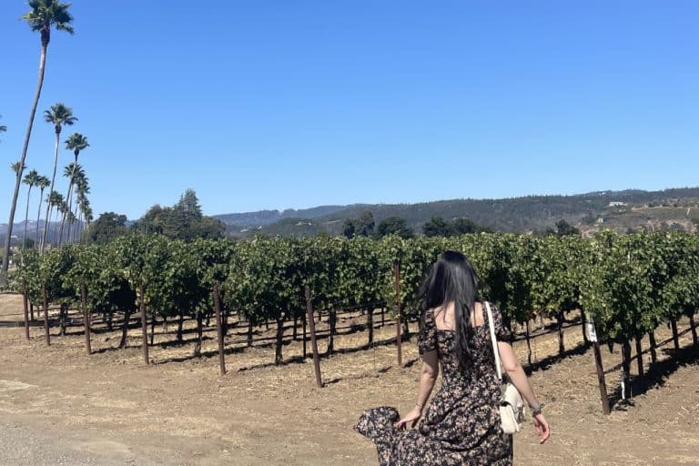 How Many Wineries Can You Visit in a Day in Napa + Itinerary