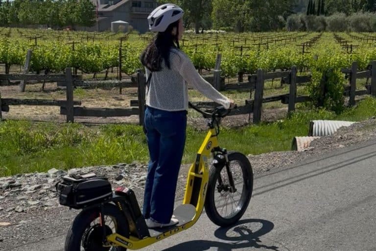 Glidesdale Adventures Review: Napa’s Most Unique Tour